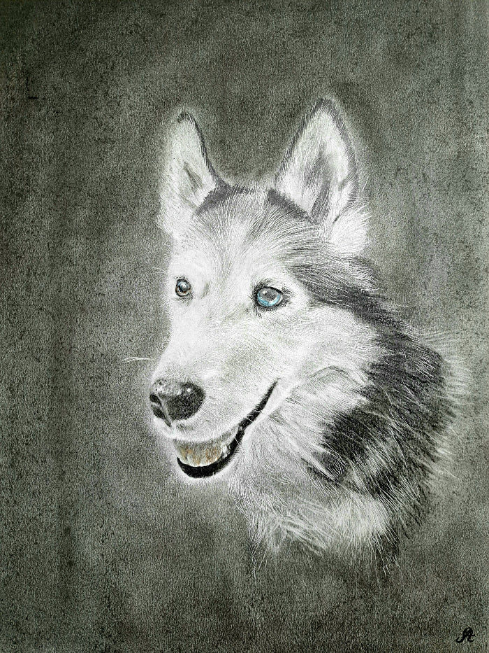 portret dog hond