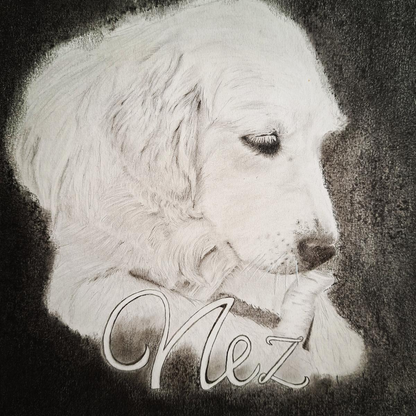 Hond portrettekening met grafiet. Gepersonaliseerde tekening met naam mogelijk.